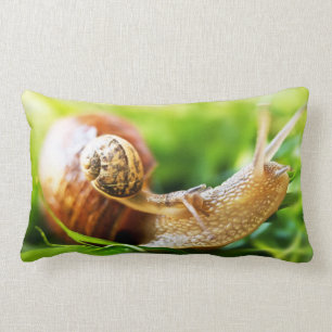 Snails Lumbar Cushion
