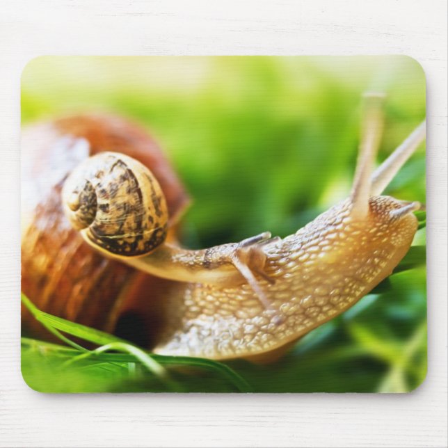 Snails Mouse Pad (Front)