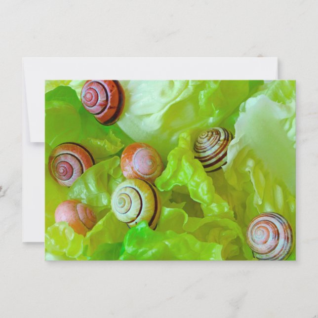 Snails on lettuce Card (Front)