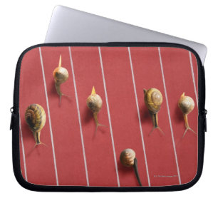 Snails running on the truck laptop sleeve