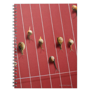 Snails running on the truck notebook