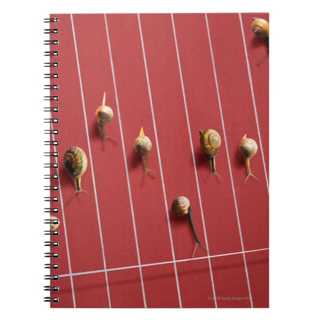 Snails running on the truck notebook (Front)