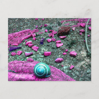 SnailShell postcard