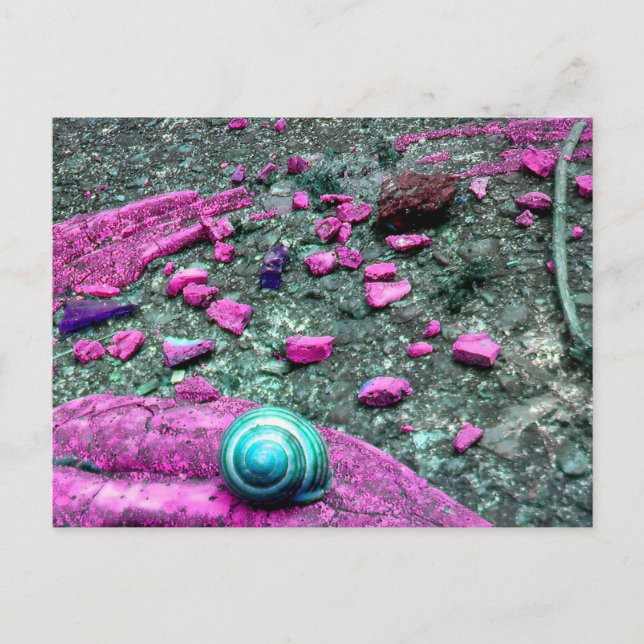 SnailShell postcard (Front)