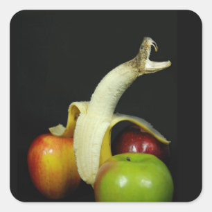 Snake Banana with Apples Square Sticker