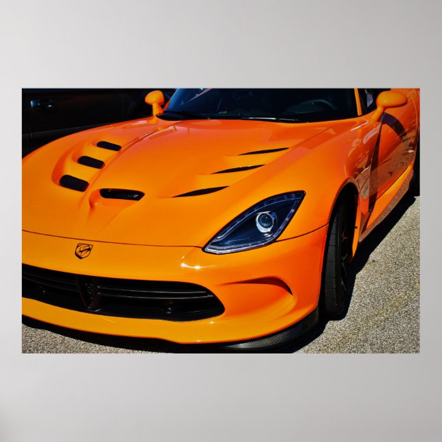 Snake Bitten Poster (Front)