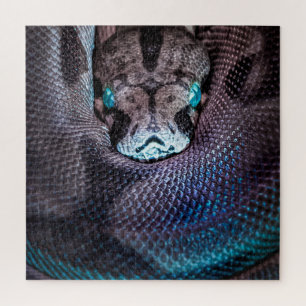 Snake boa anaconda python reptile snakeskin jigsaw puzzle