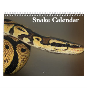 Snake Calendar 2025