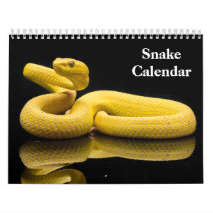 Snake Calendar 2026