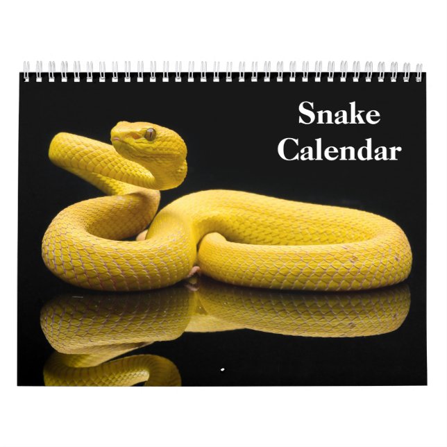 Snake Calendar 2026 (Cover)