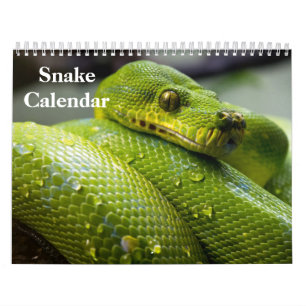 Snake Calendar 2027