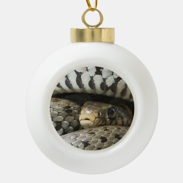 Snake Ceramic Ball Christmas Ornament (Front)