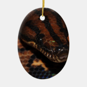 Snake Ceramic Ornament