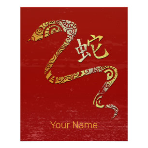 Snake Chinese Zodiac Horoscope Constellation Sign