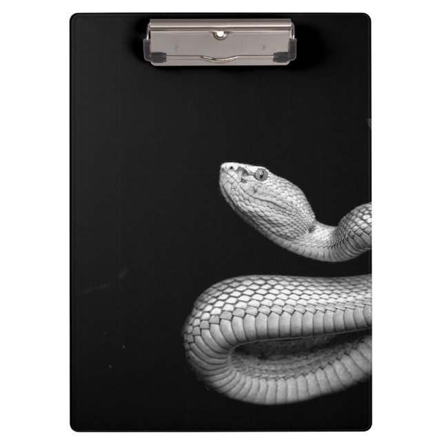 Snake Clipboard (Front)