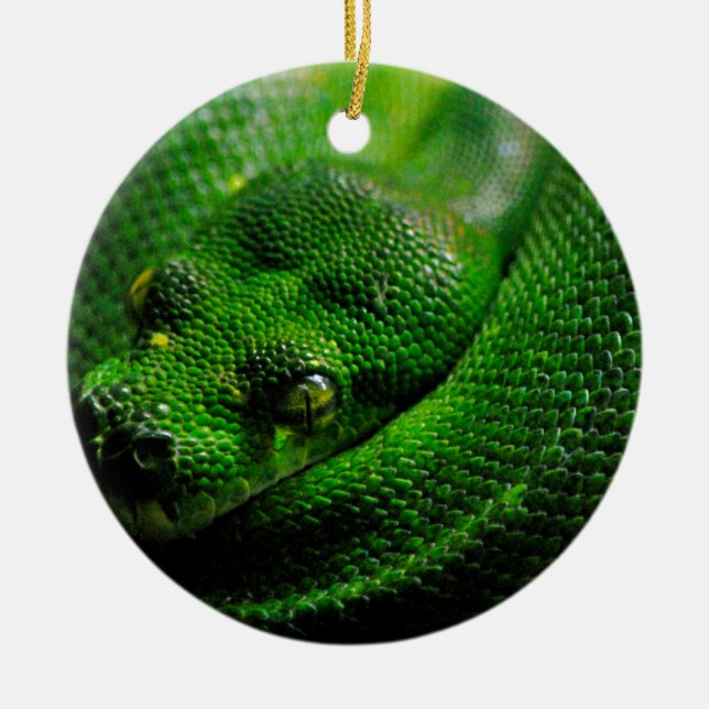 Snake Country Ceramic Tree Decoration (Front)