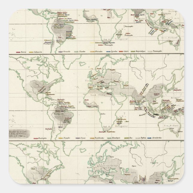 Snake Distributions Square Sticker (Front)