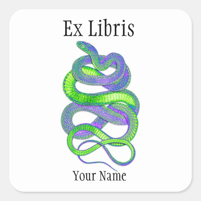 Snake Ex Libris Bookplates, Customisable Square Sticker (Front)