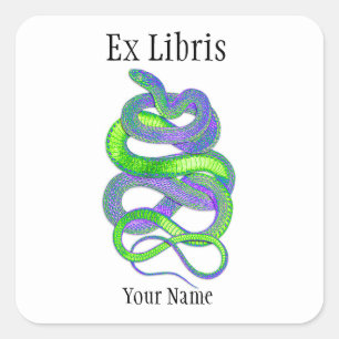 Snake Ex Libris Bookplates, Customisable Square Sticker