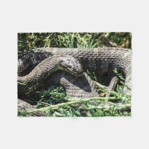 Snake Fleece Blanket