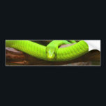 Snake Green Mamba Animal Scary Party Destiny Bumper Sticker<br><div class="desc">Snake Green Mamba Animal Scary Party Destiny</div>