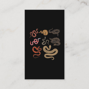 Snake Hunter Reptile Collector Animal Education Business Card