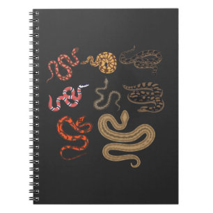 Snake Hunter Reptile Collector Animal Education Notebook