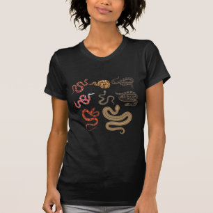 Snake Hunter Reptile Collector Animal Education T-Shirt
