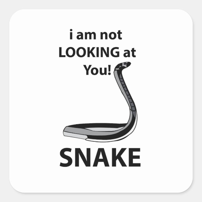 Snake I am Not Looking At You Funny Snake Square Sticker (Front)