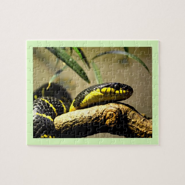 Snake Jigsaw Puzzle (Horizontal)