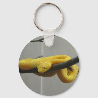 Snake Key Ring