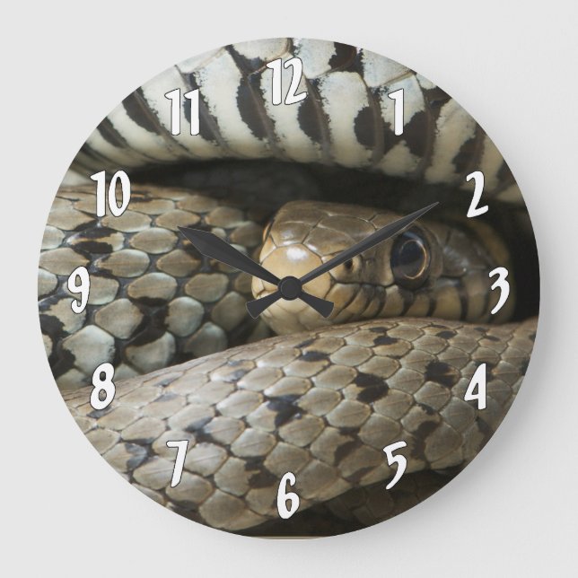 Snake Large Clock (Front)