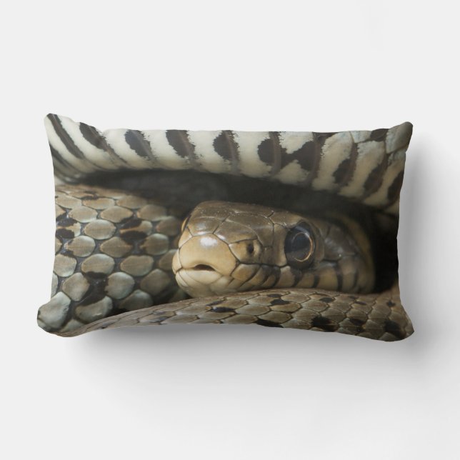 Snake Lumbar Cushion (Front)