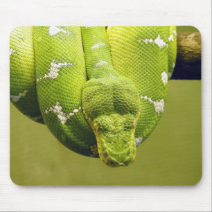 Snake Mouse Pad