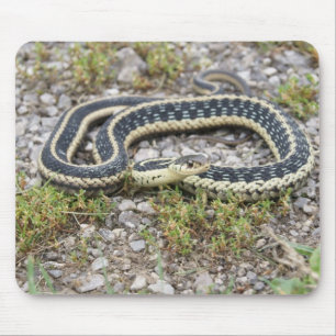 Snake Mousepad