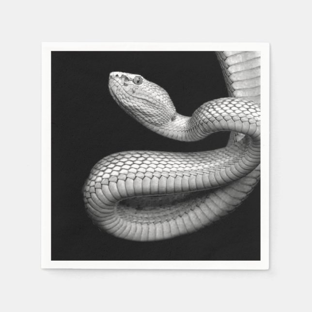 Snake Napkin (Front)