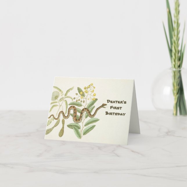 Snake  note card (Front)