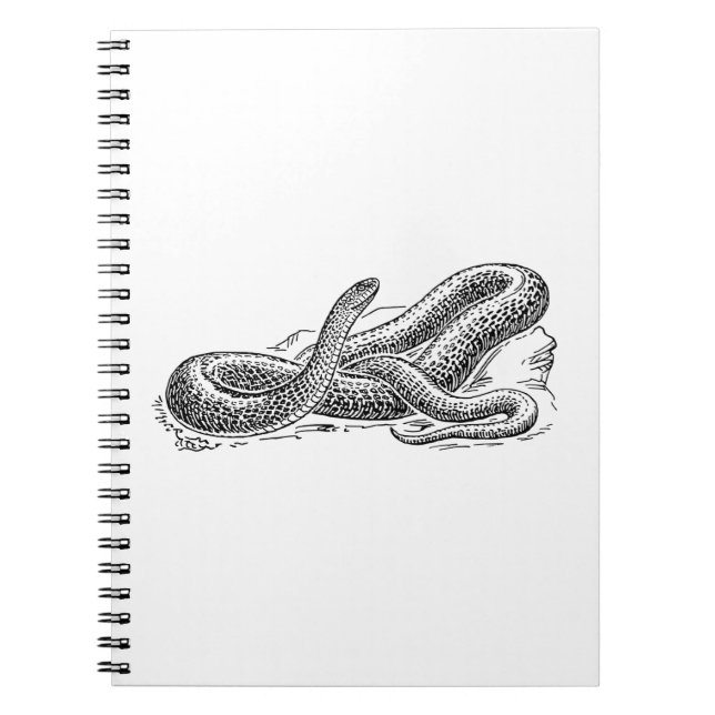 Snake Notebook (Front)