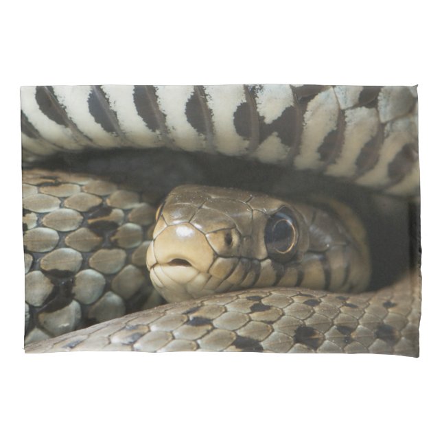 Snake Pillowcase (Front)