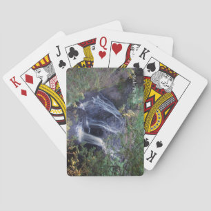 Snake Pit Falls playing cards