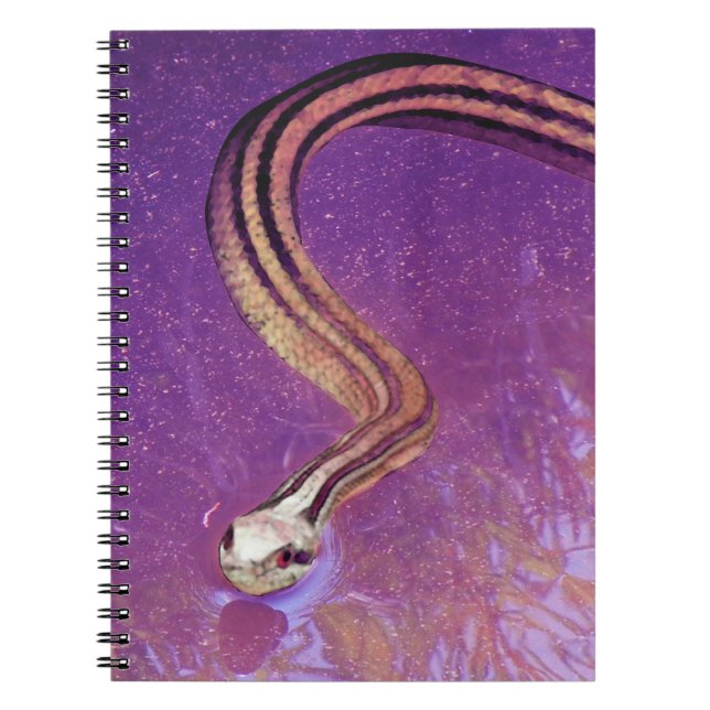 Snake Planet Notebook (Front)