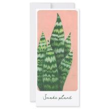 Snake plant gouache illustration card
