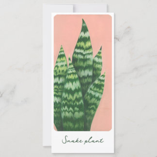 Snake plant gouache illustration card