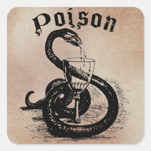 Snake Poison Halloween Gothic Square Sticker