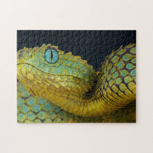 Snake Puzzle- Beautiful Green Jigsaw Puzzle