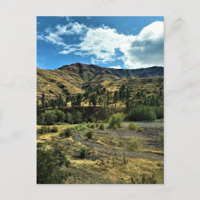 Snake River, Wallowa County, Oregon Postcard (Front)