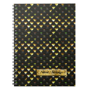 Snake Scales 1B Notebook