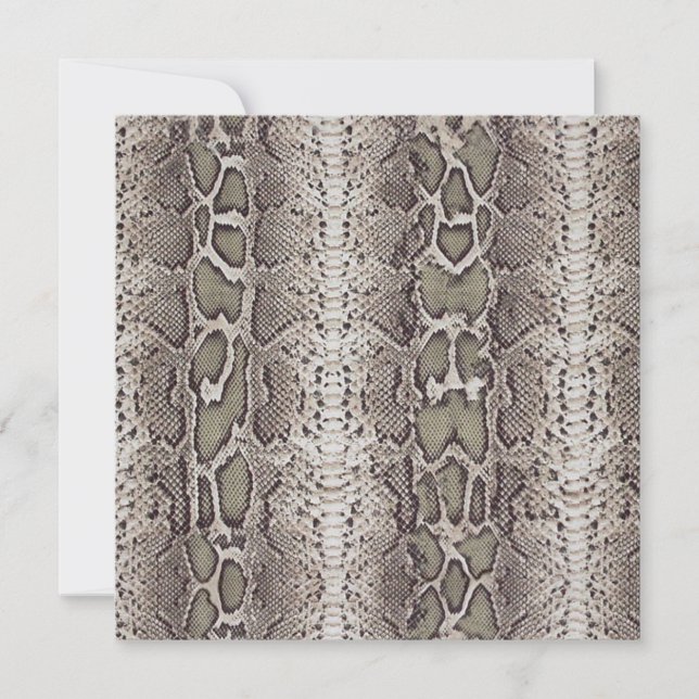 Snake Skin Animal Print (Front)