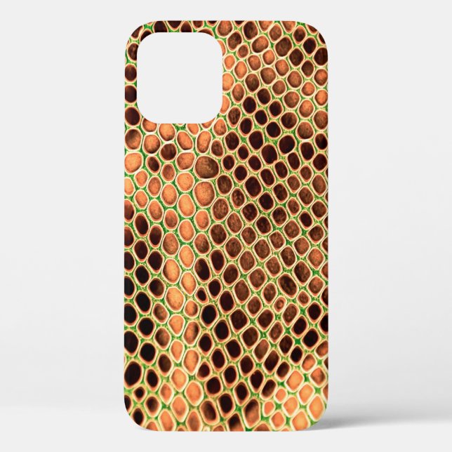 Snake skin background Case-Mate iPhone case (Back)