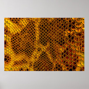 Snake skin background poster